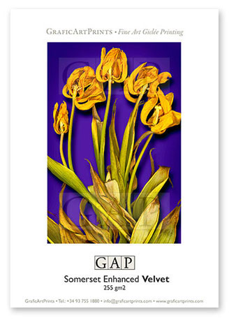 Muestras giclée individuales en papel Fineart Muestras giclée individuales en papel Fineart